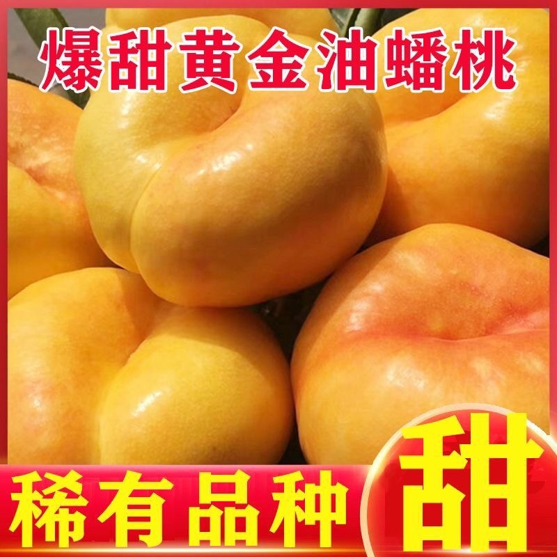 红油桃黄肉新鲜应季水果油桃蟠桃毛桃
