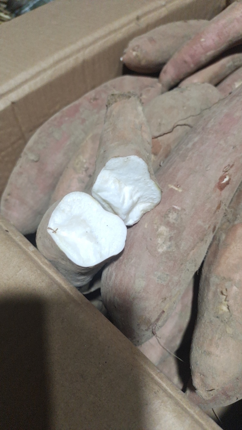 正宗白蜜薯红薯冰糖心白哈蜜地瓜红薯香甜无丝