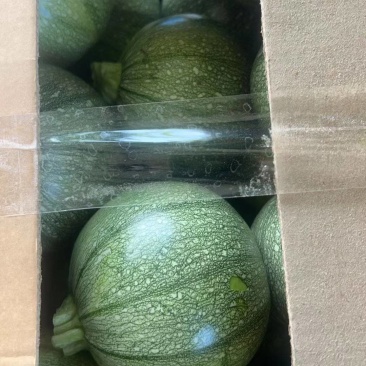 圆南瓜，一手资源，品质保障，全国发货