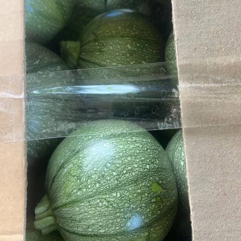 圆南瓜，一手资源，品质保障，全国发货
