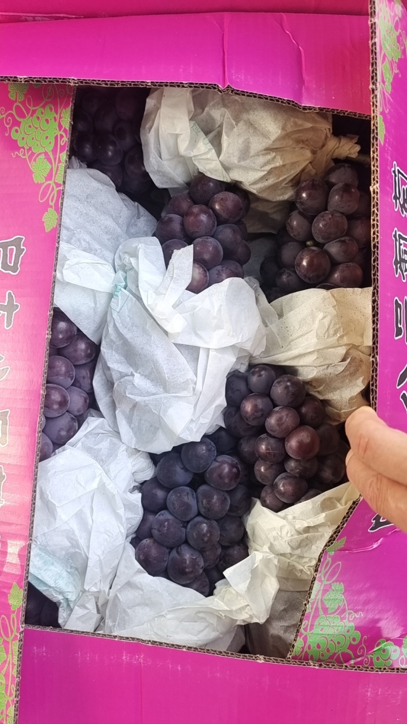 户太