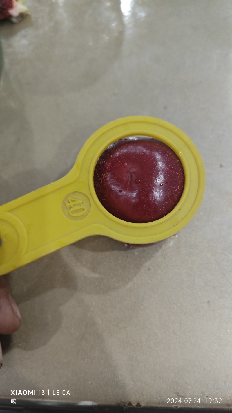 珍珠枣油桃3号，45起步红度70%