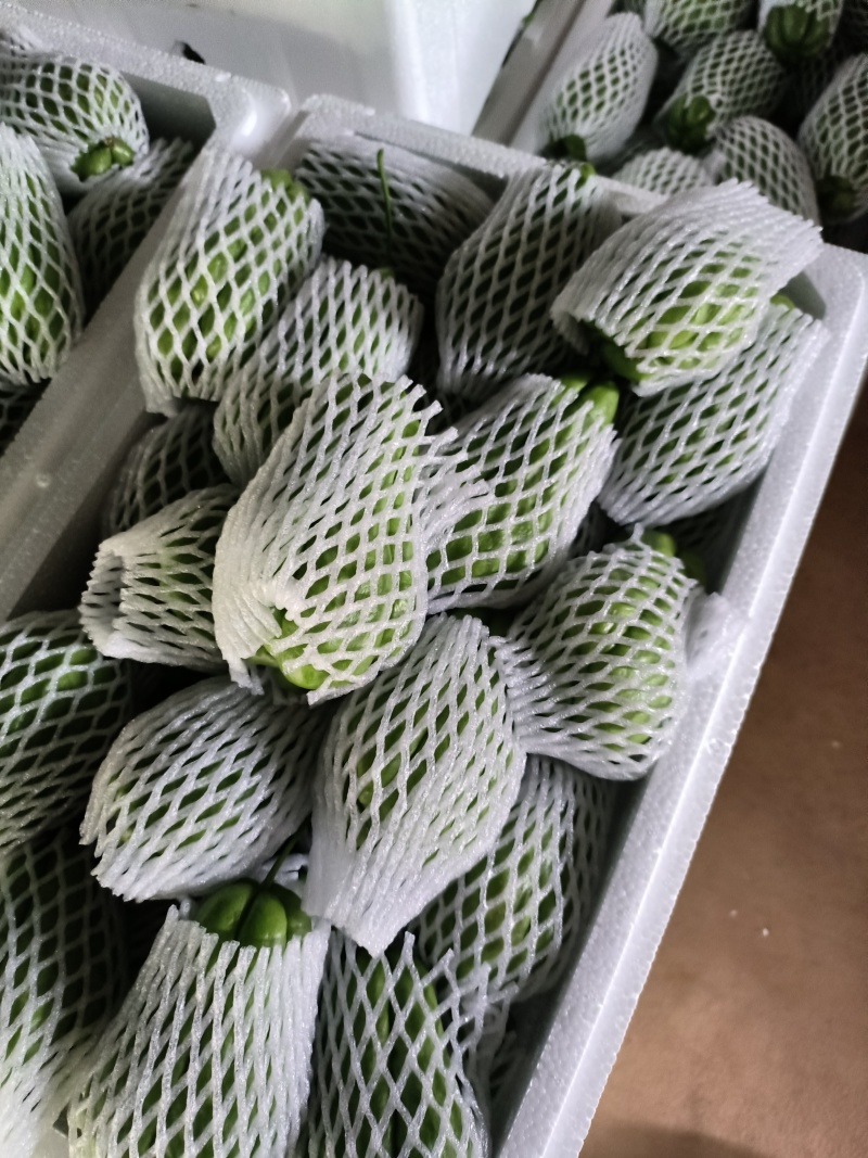 [标题]优质佛手瓜产区直发保质保量发货全国欢迎选购