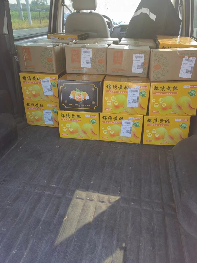 精品锦绣黄桃产地直发品质保证量大从优一手货源
