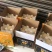 精品锦绣黄桃产地直发品质保证量大从优一手货源