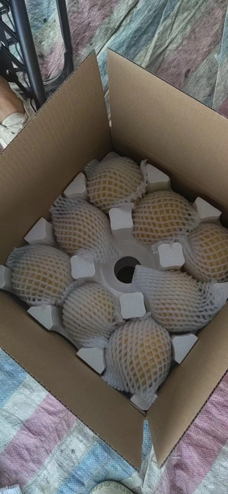 精品锦绣黄桃大量上市品质保证支持代发对接市场