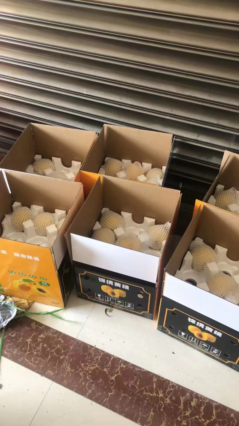 精品锦绣黄桃大量上市品质保证支持代发对接市场