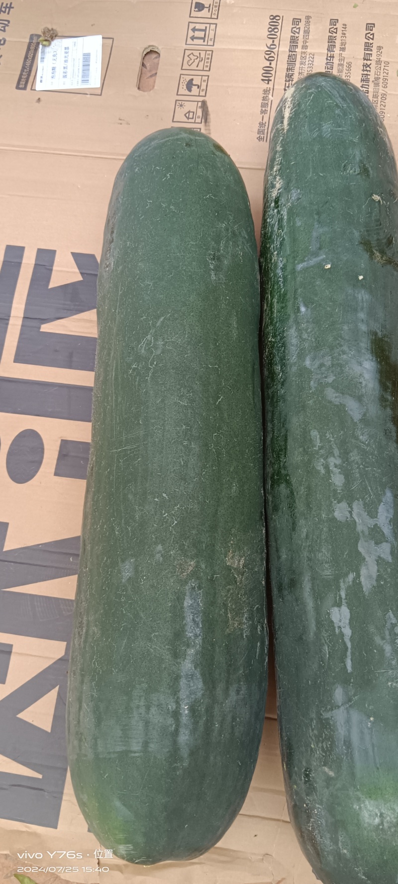 精包吊冬瓜，大小均匀，肉多，条形码好，等特点，