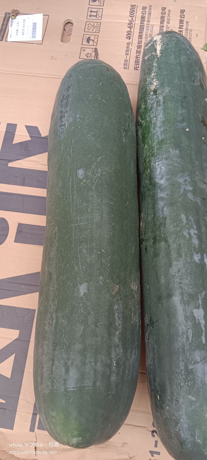 精包吊冬瓜，大小均匀，肉多，条形码好，等特点，