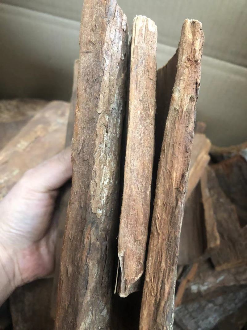 卡宾达树皮一手货源价格便宜
