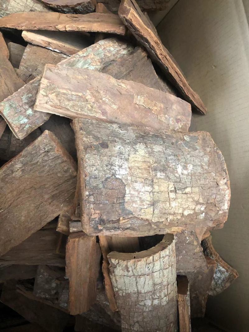 卡宾达树皮一手货源价格便宜