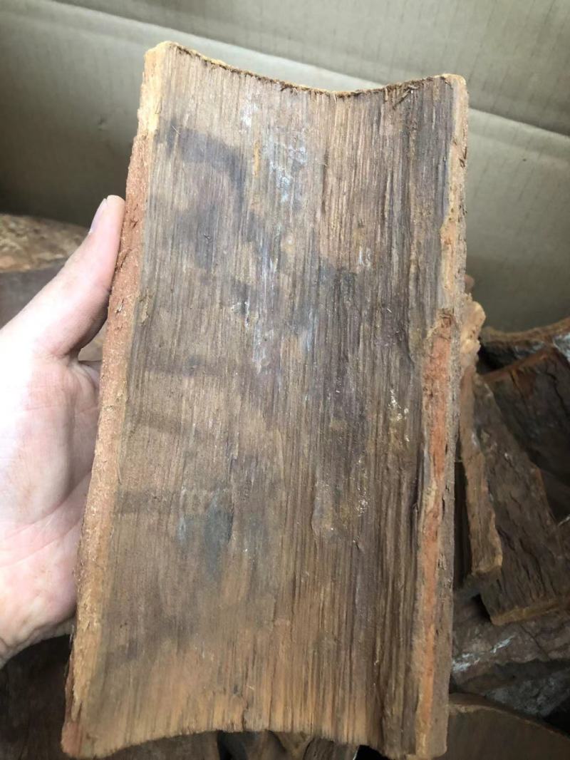 卡宾达树皮一手货源价格便宜