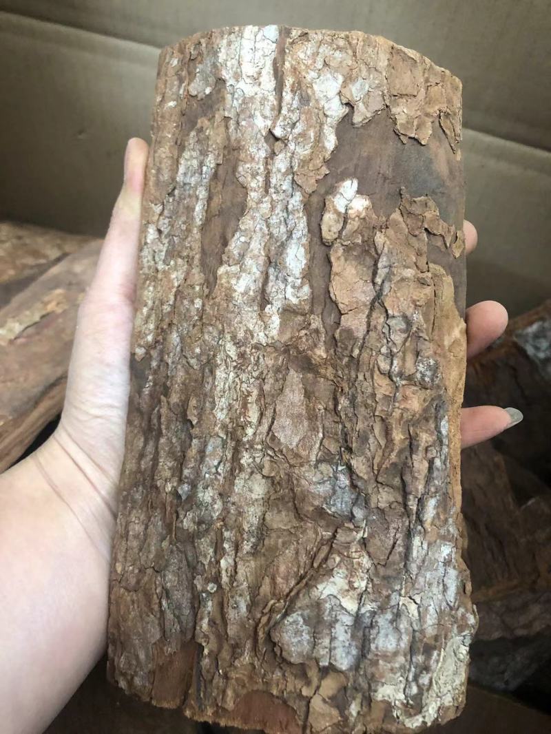 卡宾达树皮一手货源价格便宜
