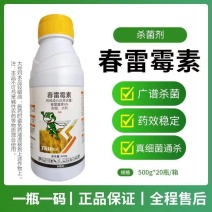 6%春雷霉素水稻稻瘟蔬菜葡萄番茄土豆叶霉病细菌病害杀菌剂