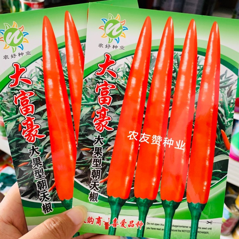 农好大富豪朝天椒种子大果型泰国进口朝天椒小米辣种子特高产