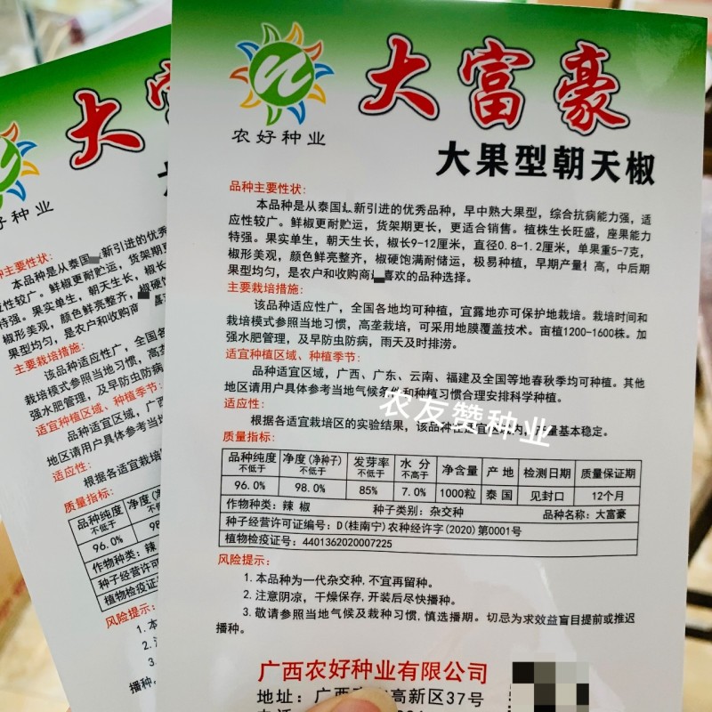 农好大富豪朝天椒种子大果型泰国进口朝天椒小米辣种子特高产