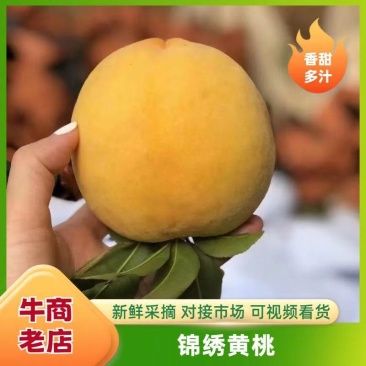精品锦绣黄桃产地直发品质保证量大从优一手货源