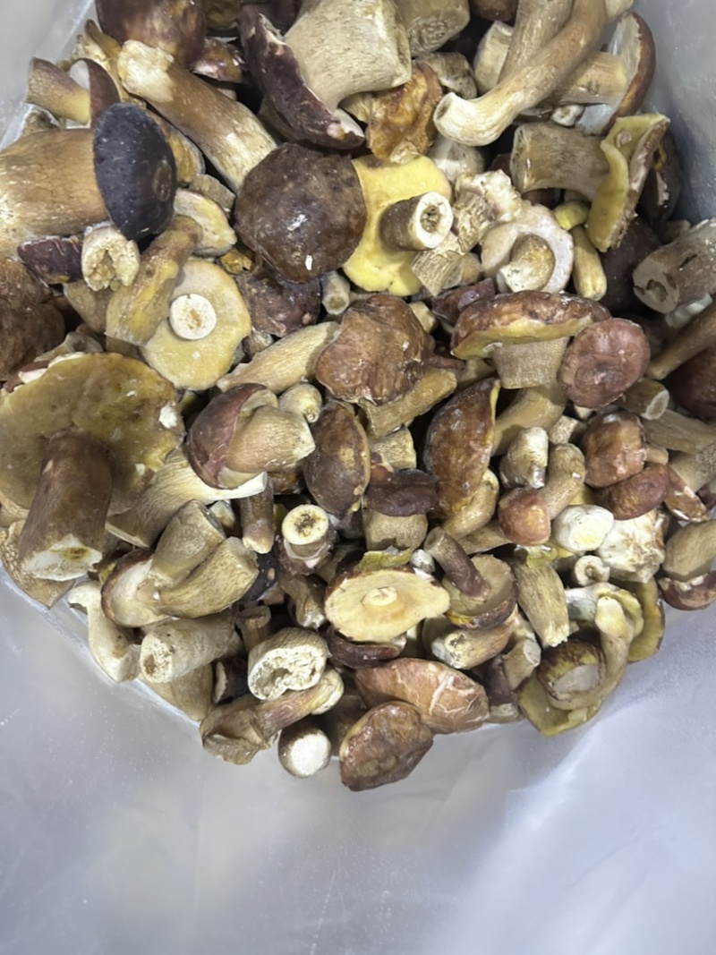 云南楚雄野生速冻美味牛肝菌