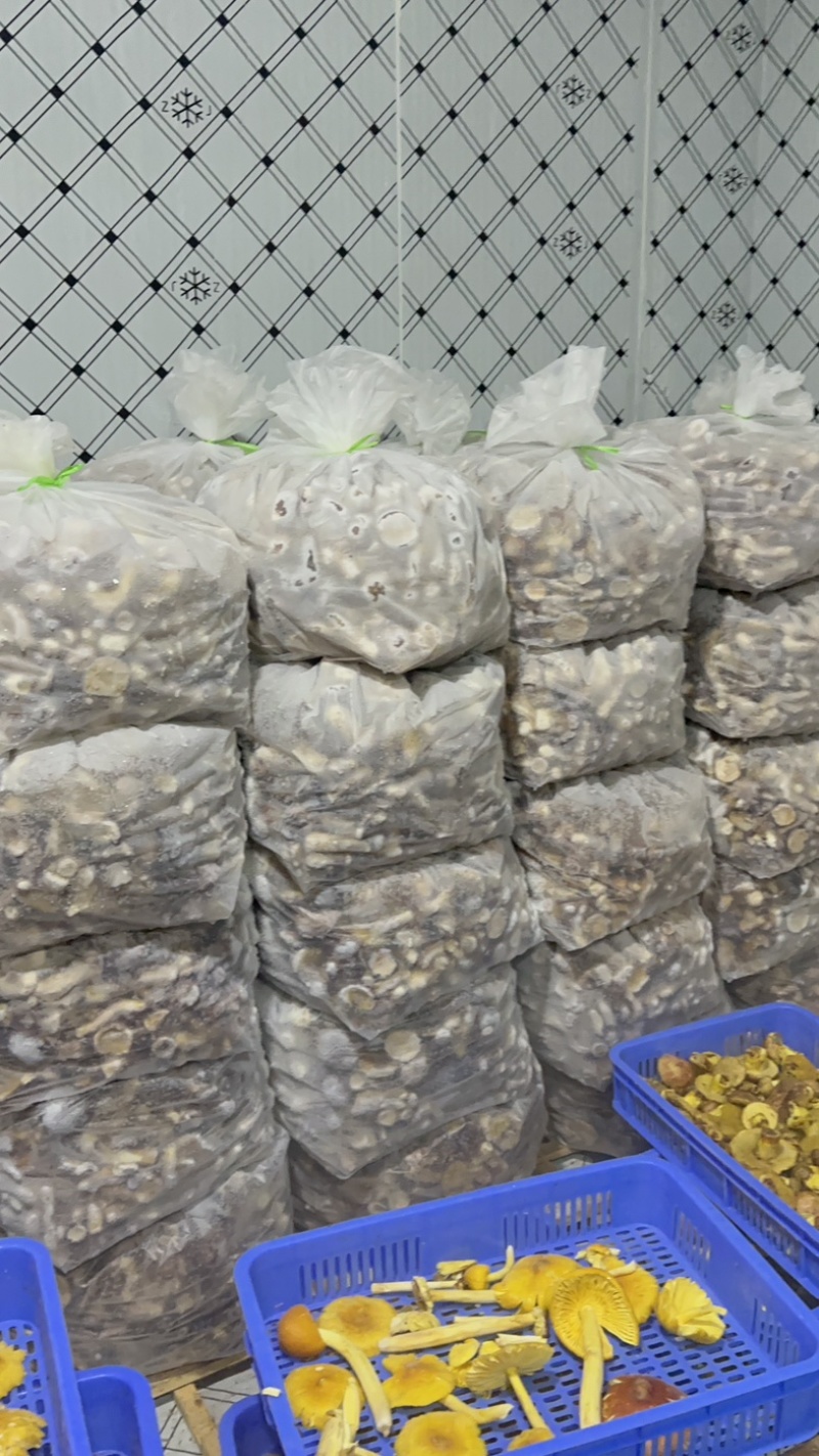 云南楚雄野生速冻美味牛肝菌