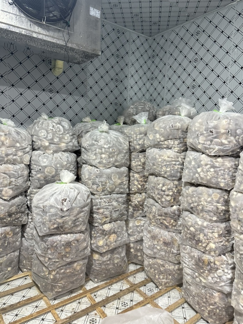 云南楚雄野生速冻美味牛肝菌