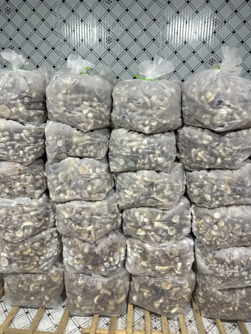 云南楚雄野生速冻美味牛肝菌