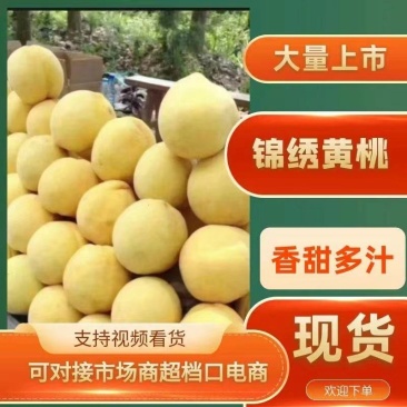 精品锦绣黄桃大量上市品质保证支持代发对接市场
