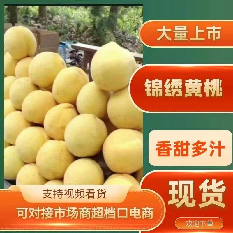 精品锦绣黄桃大量上市品质保证支持代发对接市场