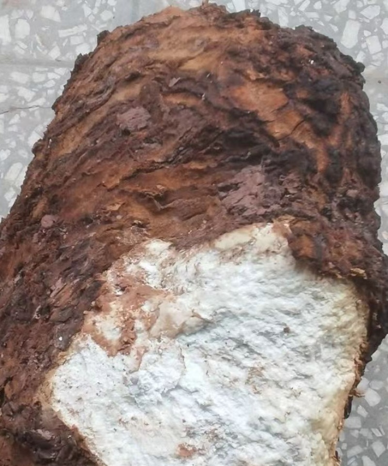超高性价比长期有货产地直发茯苓必备佳品
