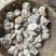 超高性价比长期有货产地直发茯苓必备佳品