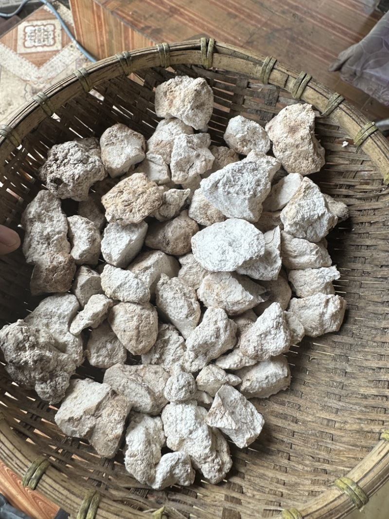 超高性价比长期有货产地直发茯苓必备佳品