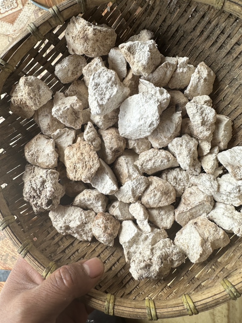 超高性价比长期有货产地直发茯苓必备佳品