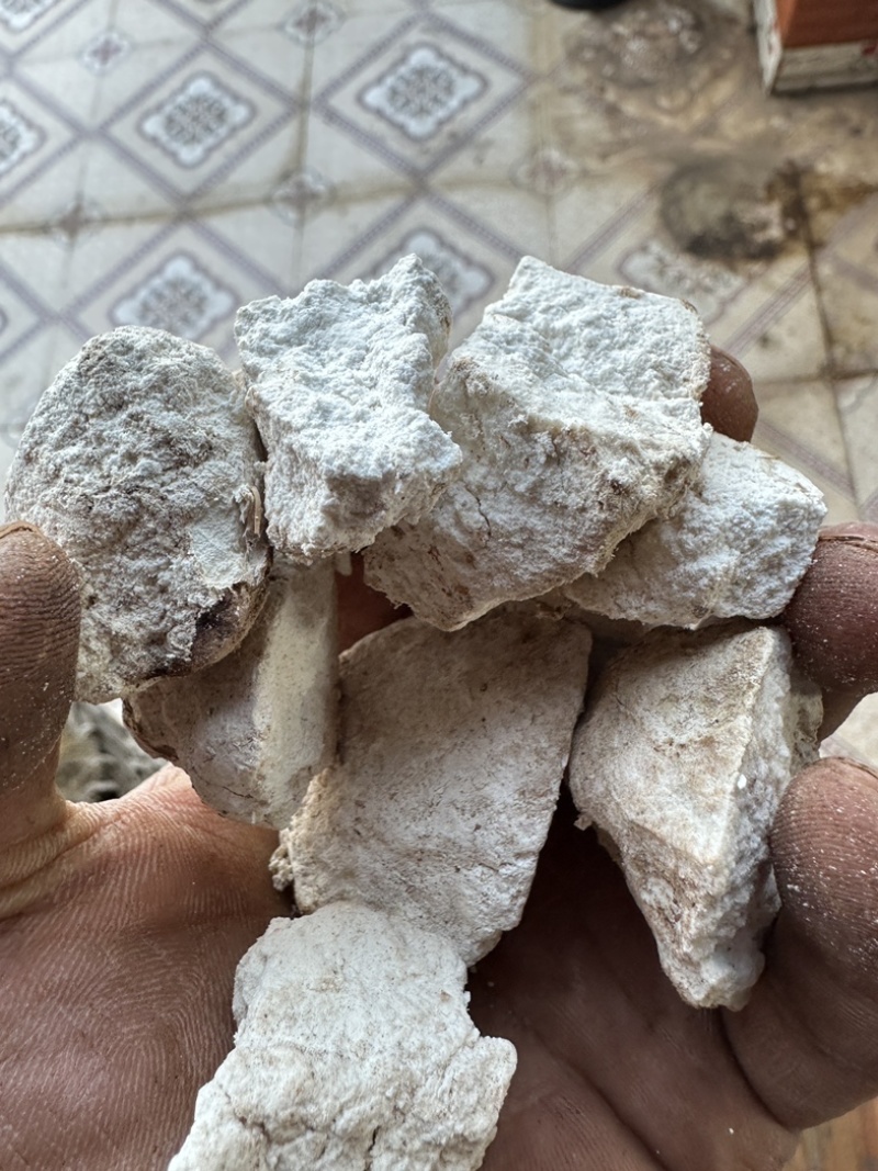 超高性价比长期有货产地直发茯苓必备佳品