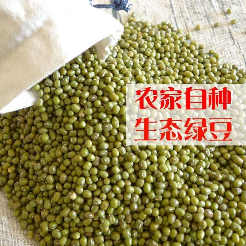 农家绿豆新货5斤绿豆芽发芽豆100g五谷杂粮笨绿豆糕绿豆