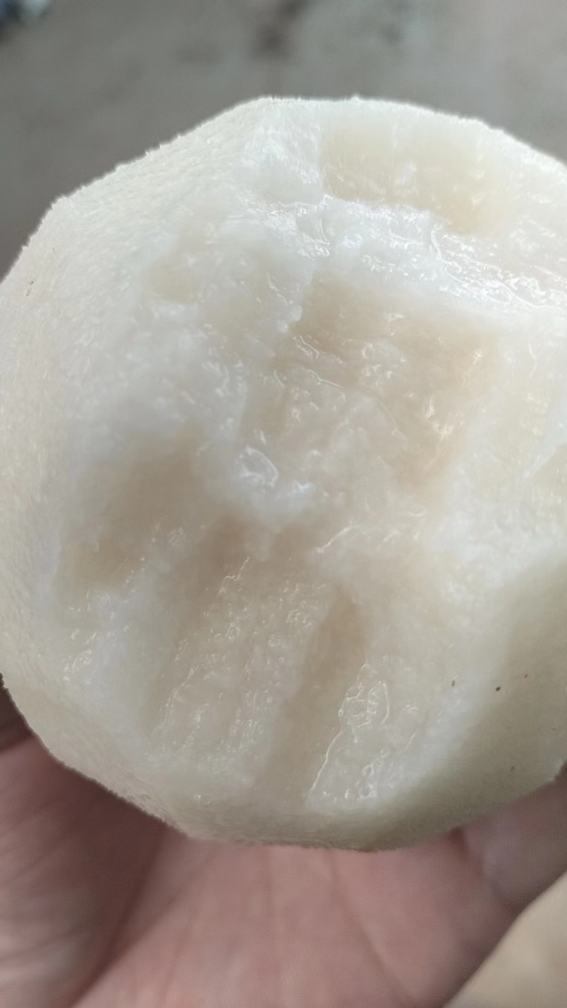 丰水梨，个头大，口感细腻化渣，酥，脆，甜
