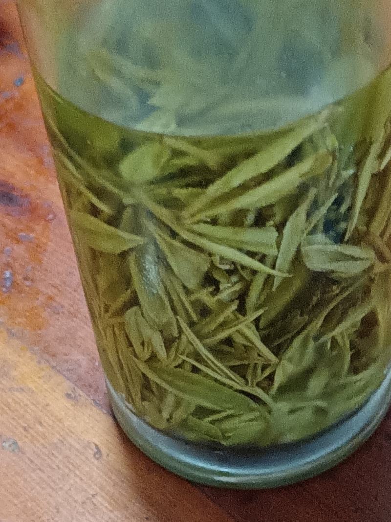 三公山白芽，不施肥，人工除草，天然