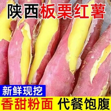 一件包邮陕西临潼板栗红薯红薯北田红薯