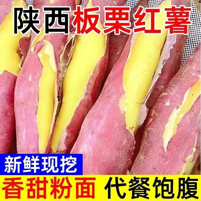 一件包邮陕西临潼板栗红薯红薯北田红薯