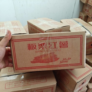 一件代发陕西临潼北田板栗红薯全国包邮