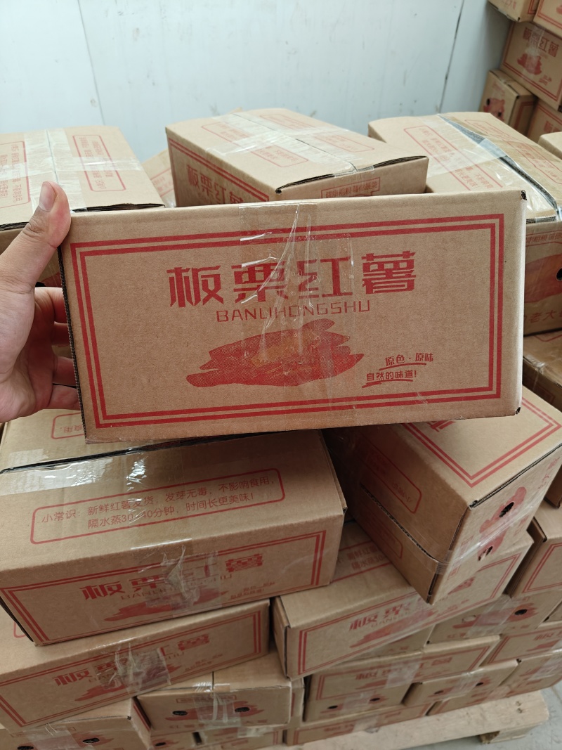 一件代发陕西临潼北田板栗红薯全国包邮