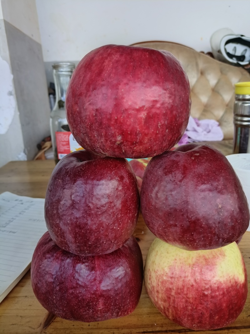 云南高原华硕苹果