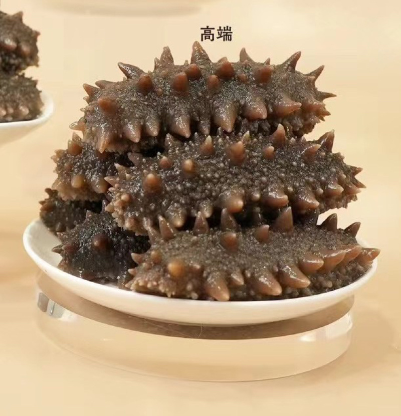 【牛商优选】大连海参辽参，肉质肥厚内筋粗壮，大量有货