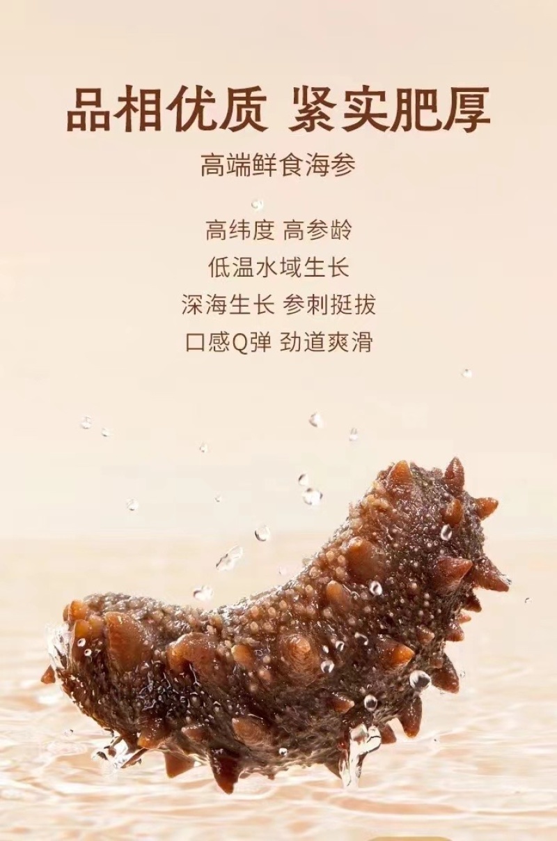 【牛商优选】大连海参辽参，肉质肥厚内筋粗壮，大量有货
