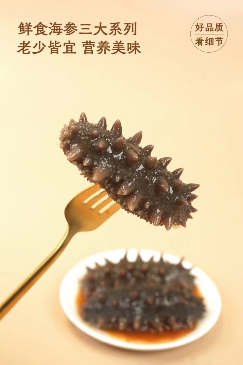 【牛商优选】大连海参辽参，肉质肥厚内筋粗壮，大量有货