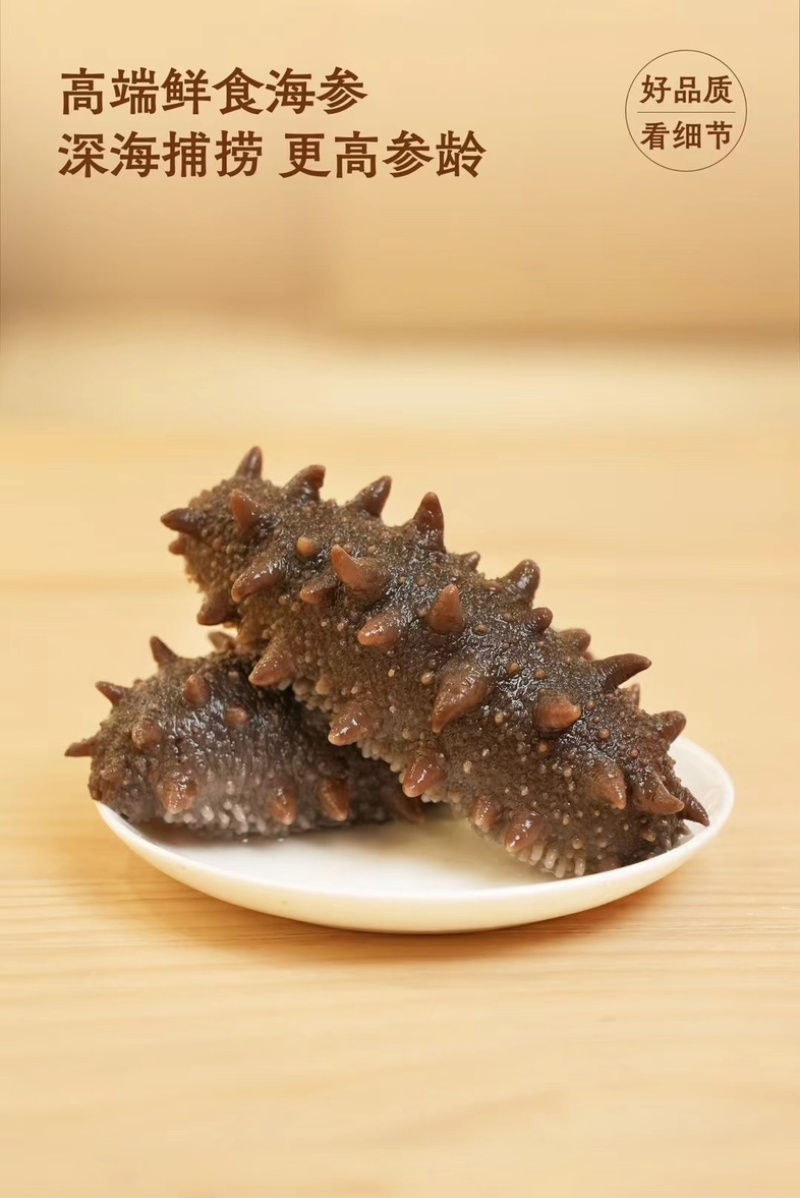 【牛商优选】大连海参辽参，肉质肥厚内筋粗壮，大量有货