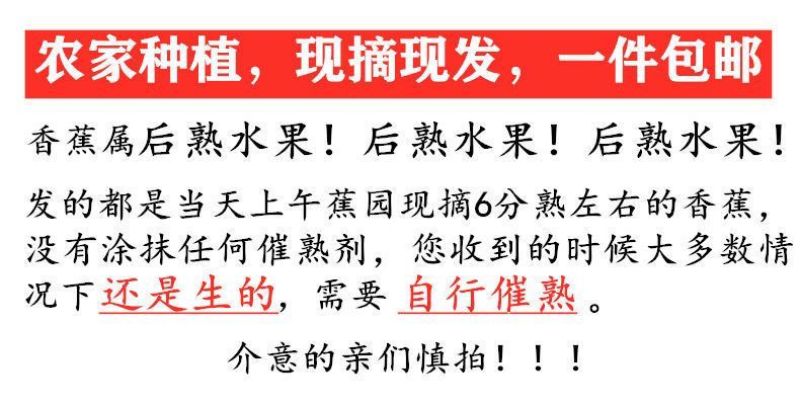 广西小米蕉10/5/当季新鲜水果包邮小香