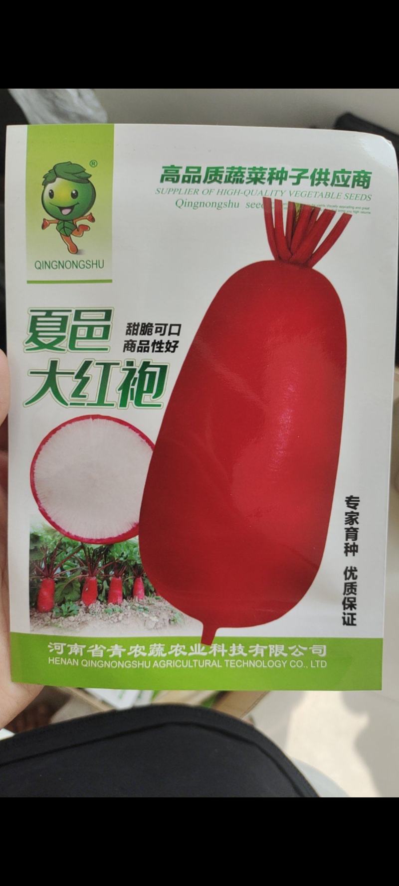 夏邑大红袍萝卜种子红皮白肉耐热耐寒秋播萝卜籽红皮萝卜种子