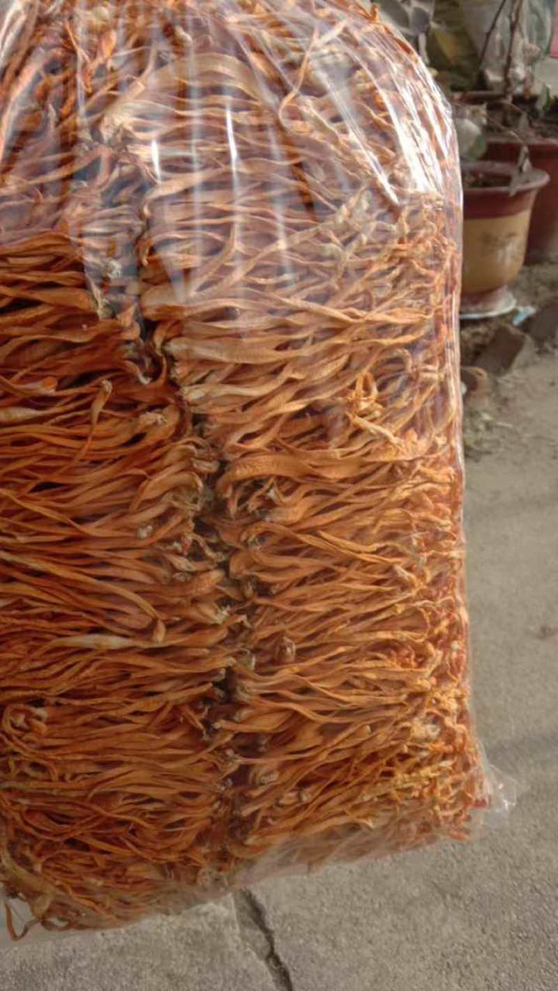 【有好货】东北虫草花批发量大从优全国发货保质保量