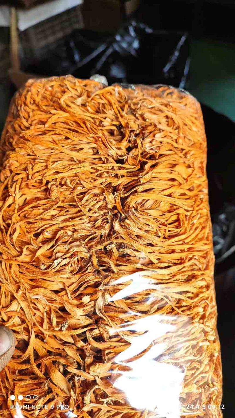 【有好货】东北虫草花批发量大从优全国发货保质保量