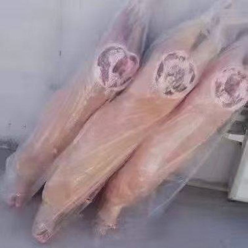 羊白条