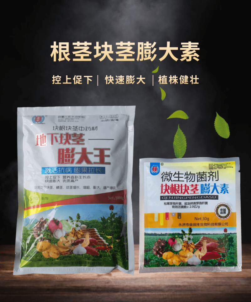 地下根茎膨大王块根块茎拉长膨果叶面肥红薯大姜冲施膨大素
